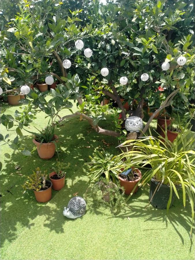 Apartamento Casa Nine Con Piscina Vacacional La Palma Breña Baja Exterior foto